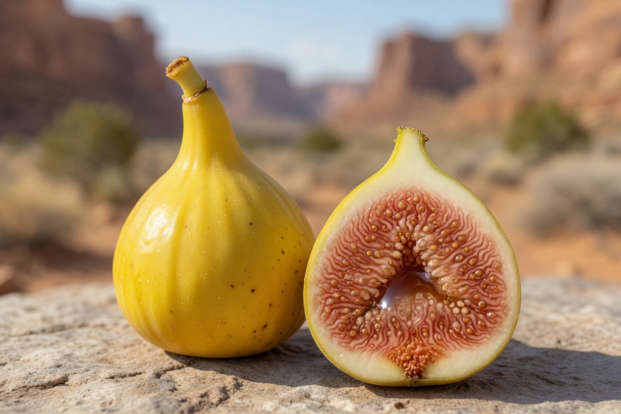 Fig Trees