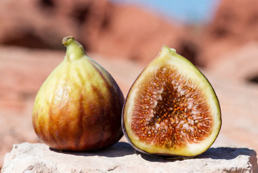 Aoibheann's Abundance 266 Fig Tree Cutting – Prolific Honey-Caramel Fig from the Fig Hunter Collection, Desert-Adapted Starter Plant