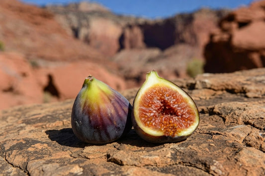 Exquisito Fig Tree Cutting – Productive California Heirloom with Honey-Berry Sweetness & Multiple Crops