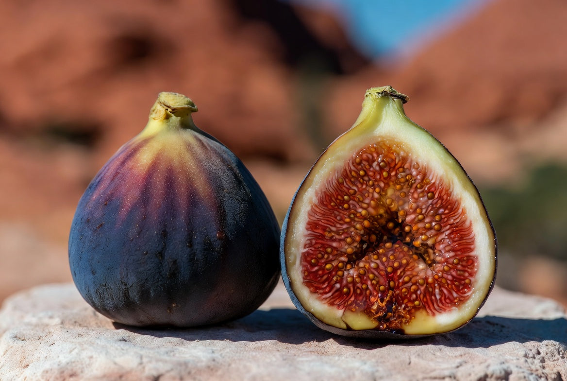 Pastiliere Unknown Fig Tree Cutting – Early Blue Fig with Rich Flavor, Desert-Adapted Starter Plant