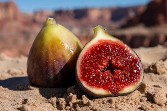 Tia Penya Fig Tree – Rare Sweet Spanish Variety with Intense Berry-Honey Flavor
