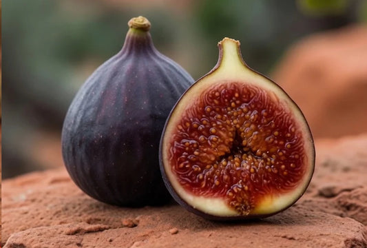 Violette de Bordeaux Fig – Rich Complex Berry Flavor, Reliable Producer