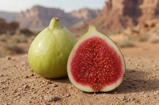 White Madeira #2 Fig Tree – Rare Light Green Fig with Intense Strawberry-Berry Flavor